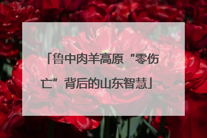 鲁中肉羊高原“零伤亡”背后的山东智慧
